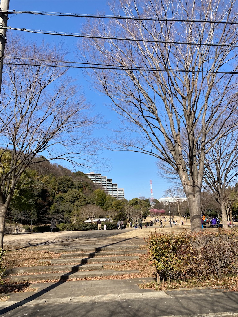 f:id:masaru-arameya:20210211131116j:image f:id:masaru-arameya:20210211131116j:image