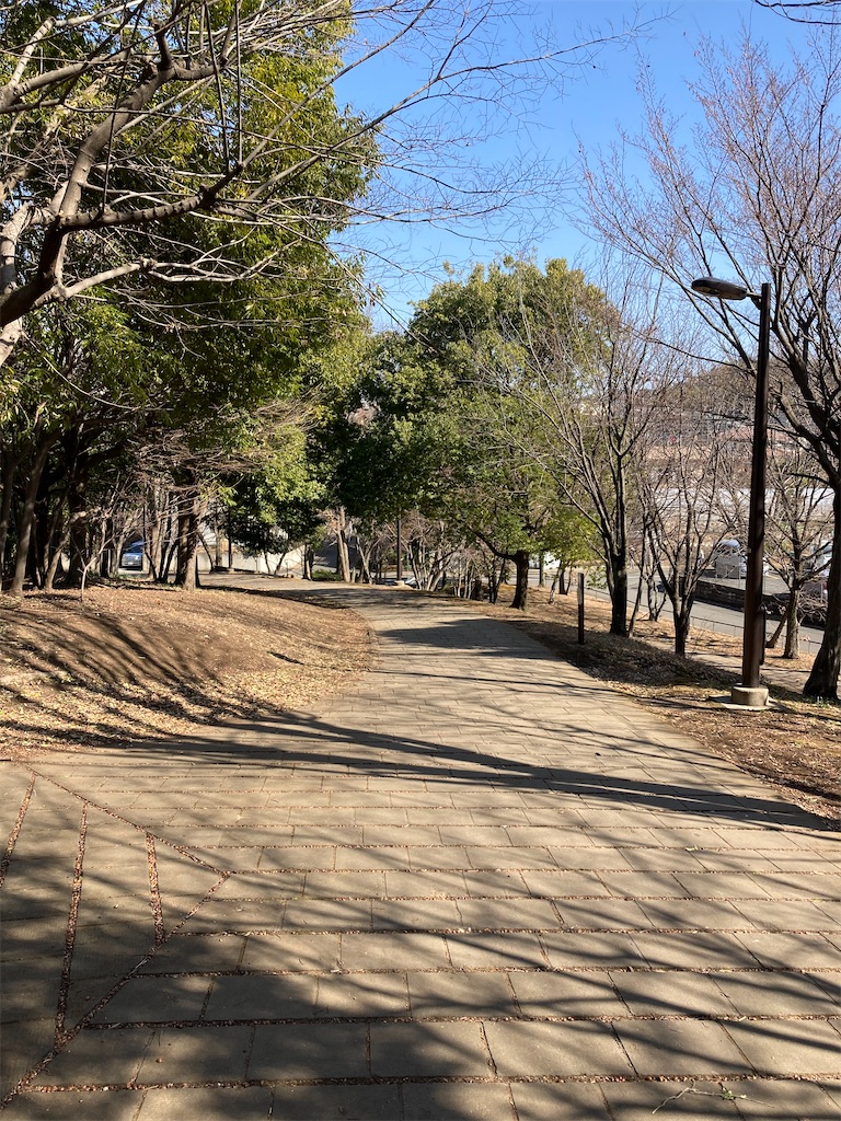 f:id:masaru-arameya:20210211131121j:image f:id:masaru-arameya:20210211131121j:image