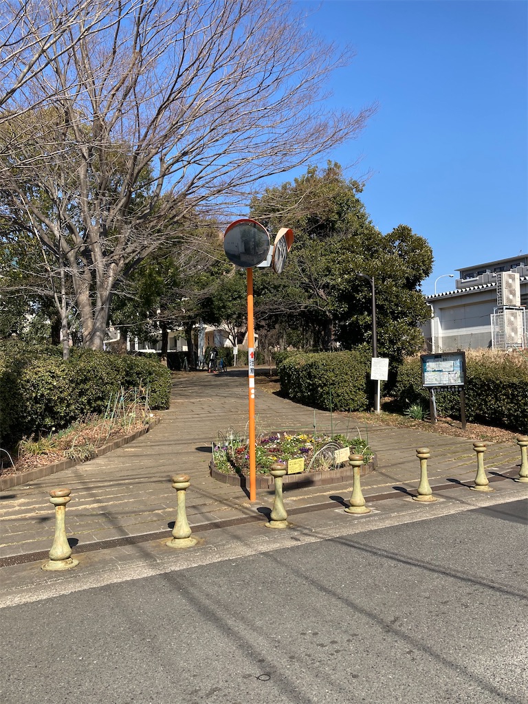 f:id:masaru-arameya:20210211131128j:image f:id:masaru-arameya:20210211131128j:image