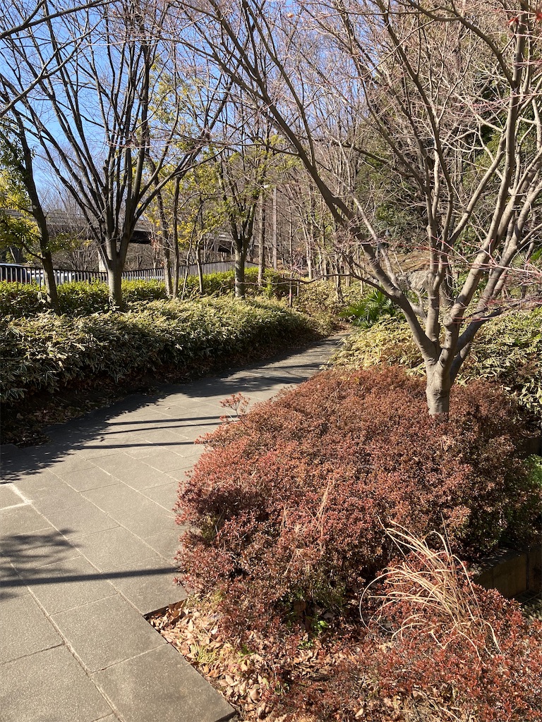 f:id:masaru-arameya:20210211131453j:image f:id:masaru-arameya:20210211131453j:image