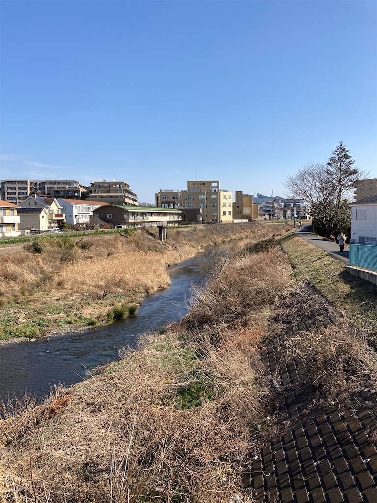 f:id:masaru-arameya:20210213165127j:image f:id:masaru-arameya:20210213165127j:image