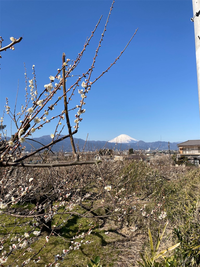 f:id:masaru-arameya:20210222150305j:image f:id:masaru-arameya:20210222150305j:image