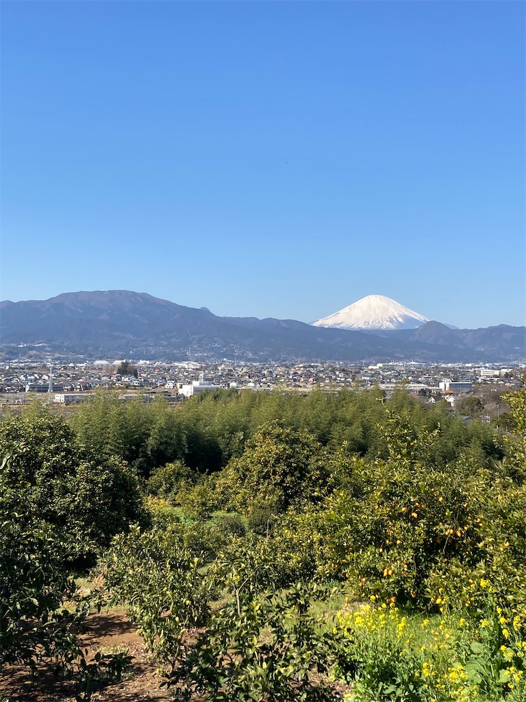 f:id:masaru-arameya:20210222150555j:image f:id:masaru-arameya:20210222150555j:image