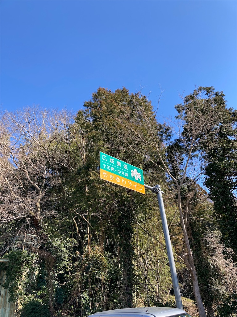 f:id:masaru-arameya:20210222150601j:image f:id:masaru-arameya:20210222150601j:image