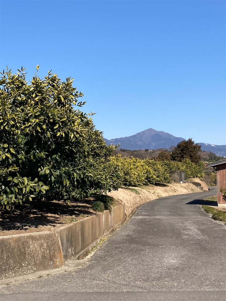 f:id:masaru-arameya:20210222150758j:image f:id:masaru-arameya:20210222150758j:image
