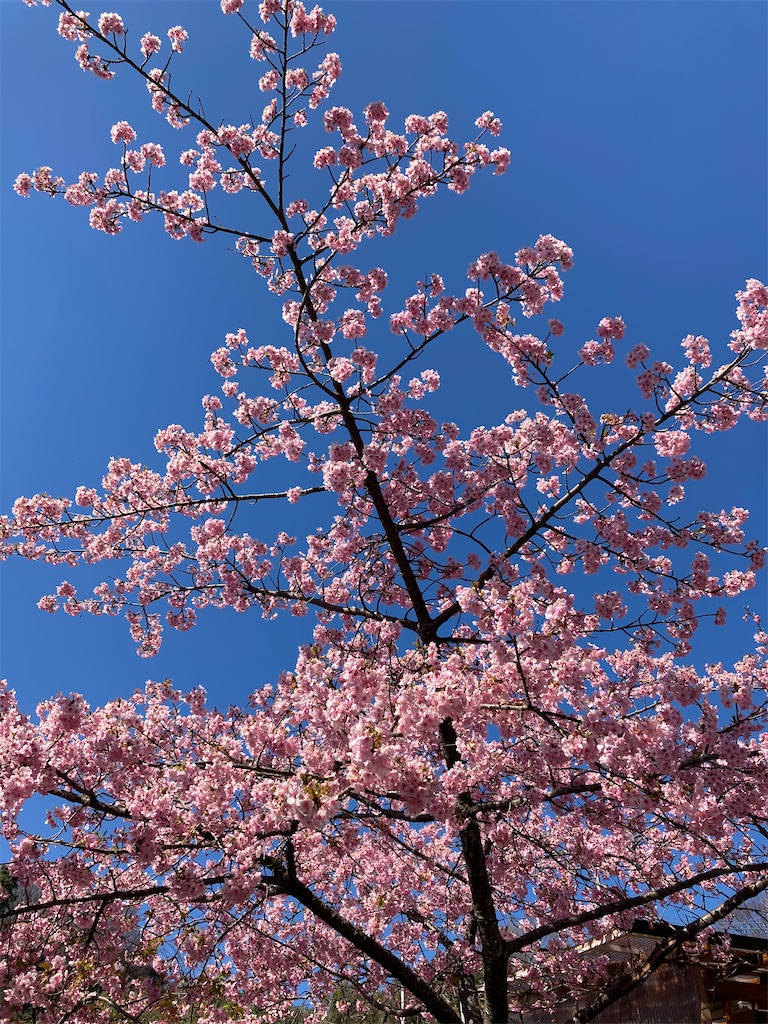 f:id:masaru-arameya:20210222150905j:image f:id:masaru-arameya:20210222150905j:image