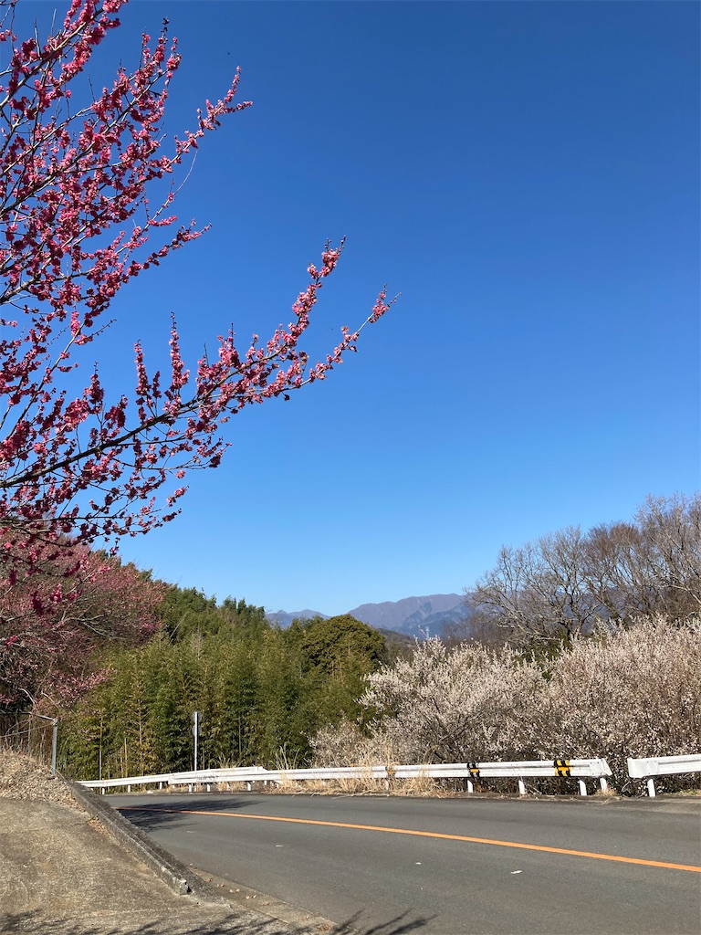 f:id:masaru-arameya:20210222151020j:image f:id:masaru-arameya:20210222151020j:image