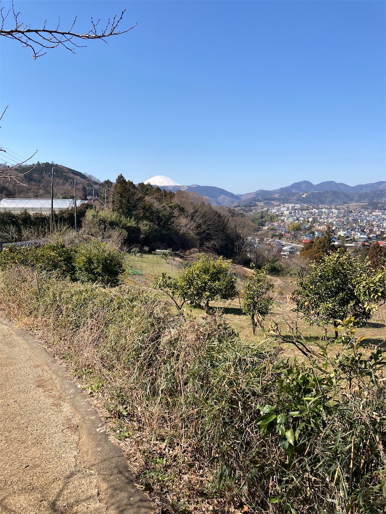 f:id:masaru-arameya:20210222151346j:image f:id:masaru-arameya:20210222151346j:image