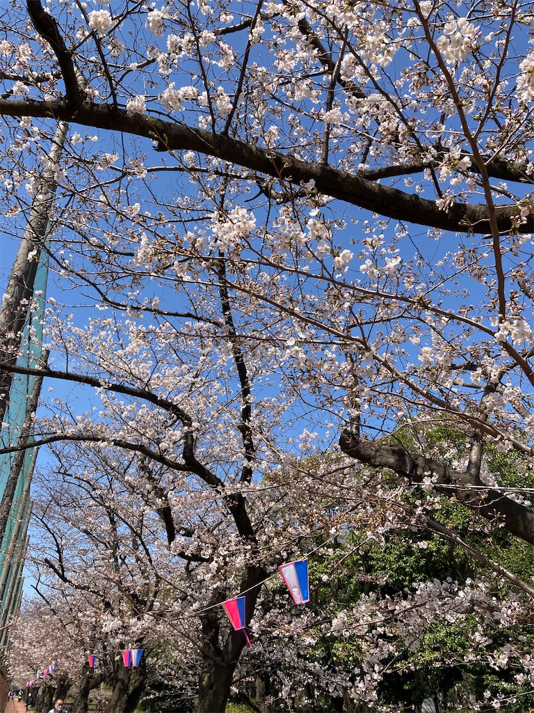 f:id:masaru-arameya:20210324130143j:image f:id:masaru-arameya:20210324130143j:image