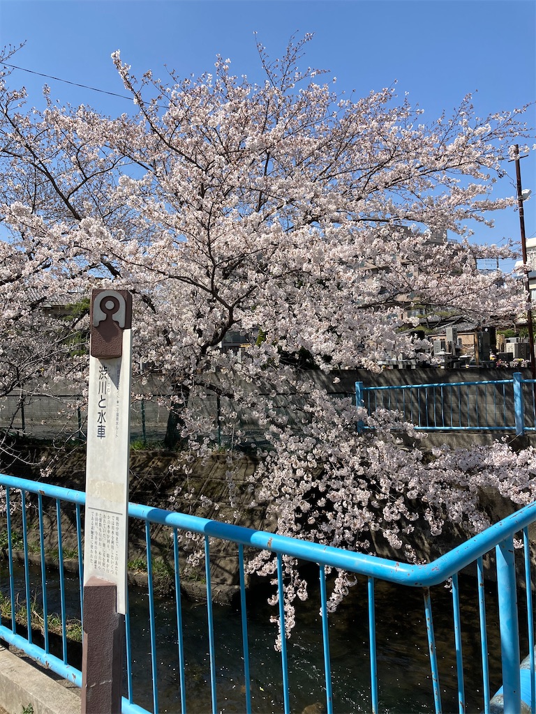f:id:masaru-arameya:20210324130202j:image f:id:masaru-arameya:20210324130202j:image
