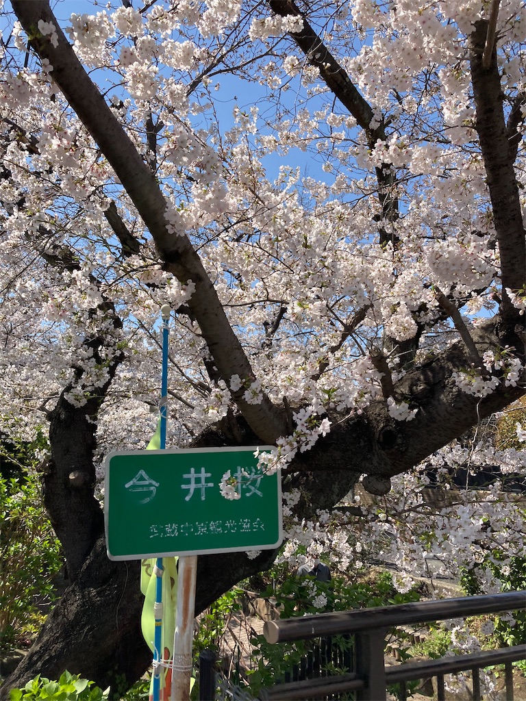 f:id:masaru-arameya:20210324130206j:image f:id:masaru-arameya:20210324130206j:image