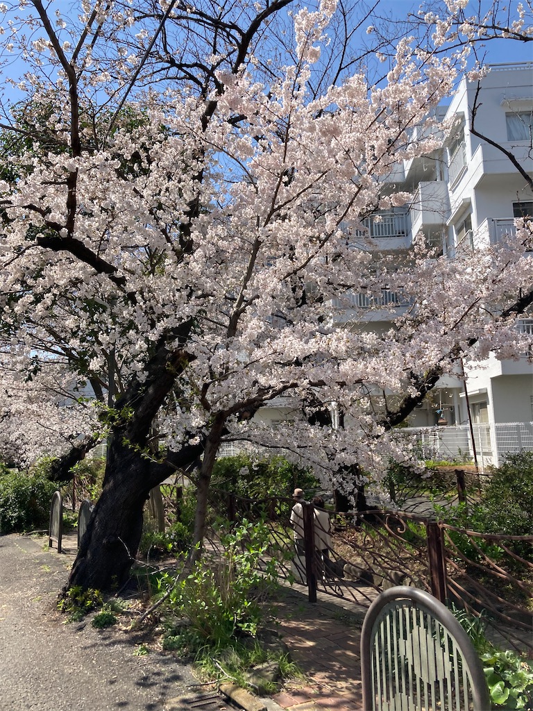 f:id:masaru-arameya:20210324130242j:image f:id:masaru-arameya:20210324130242j:image