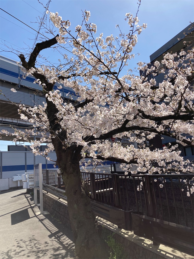 f:id:masaru-arameya:20210324130246j:image f:id:masaru-arameya:20210324130246j:image