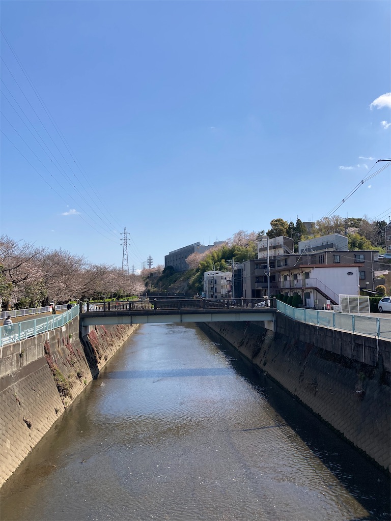 f:id:masaru-arameya:20210324133200j:image f:id:masaru-arameya:20210324133200j:image