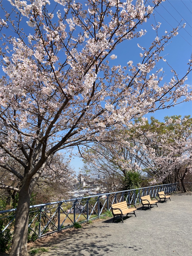 f:id:masaru-arameya:20210324133204j:image f:id:masaru-arameya:20210324133204j:image