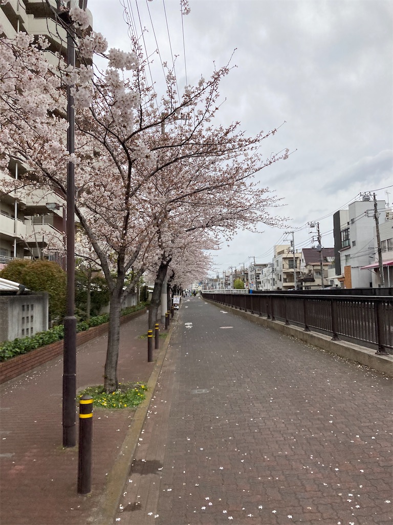 f:id:masaru-arameya:20210326070945j:image f:id:masaru-arameya:20210326070945j:image