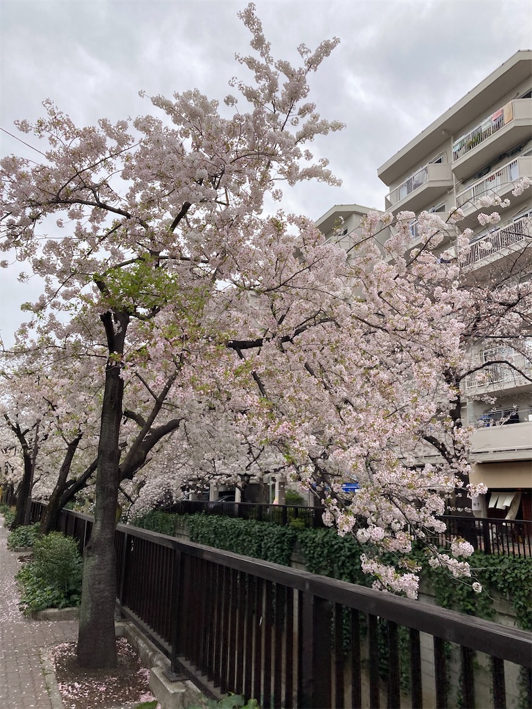 f:id:masaru-arameya:20210326071028j:image f:id:masaru-arameya:20210326071028j:image