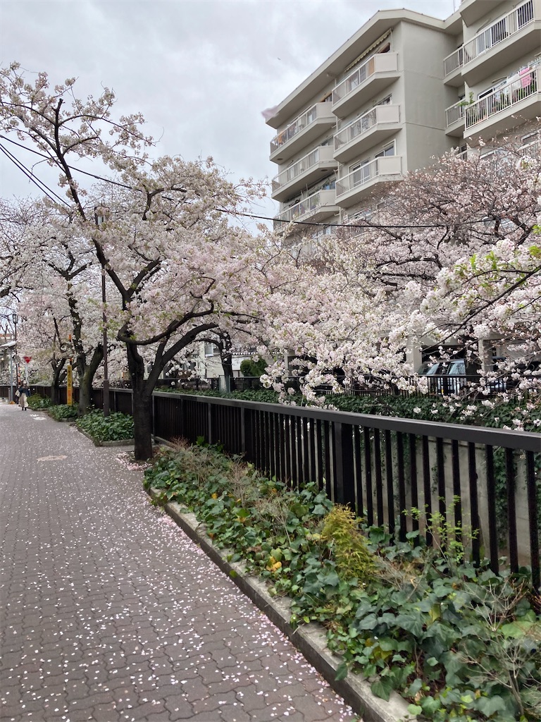 f:id:masaru-arameya:20210326071036j:image f:id:masaru-arameya:20210326071036j:image