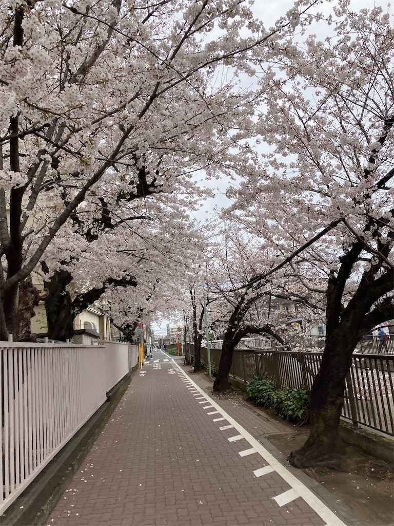 f:id:masaru-arameya:20210326071105j:image f:id:masaru-arameya:20210326071105j:image