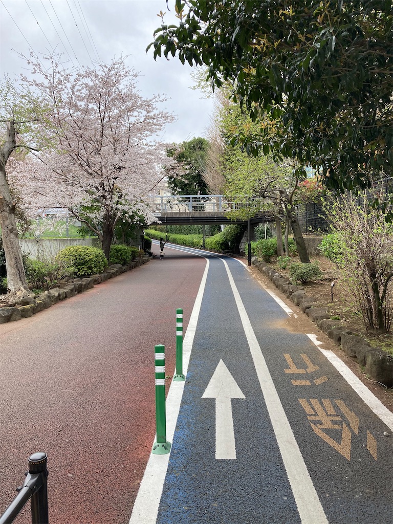 f:id:masaru-arameya:20210326071424j:image f:id:masaru-arameya:20210326071424j:image