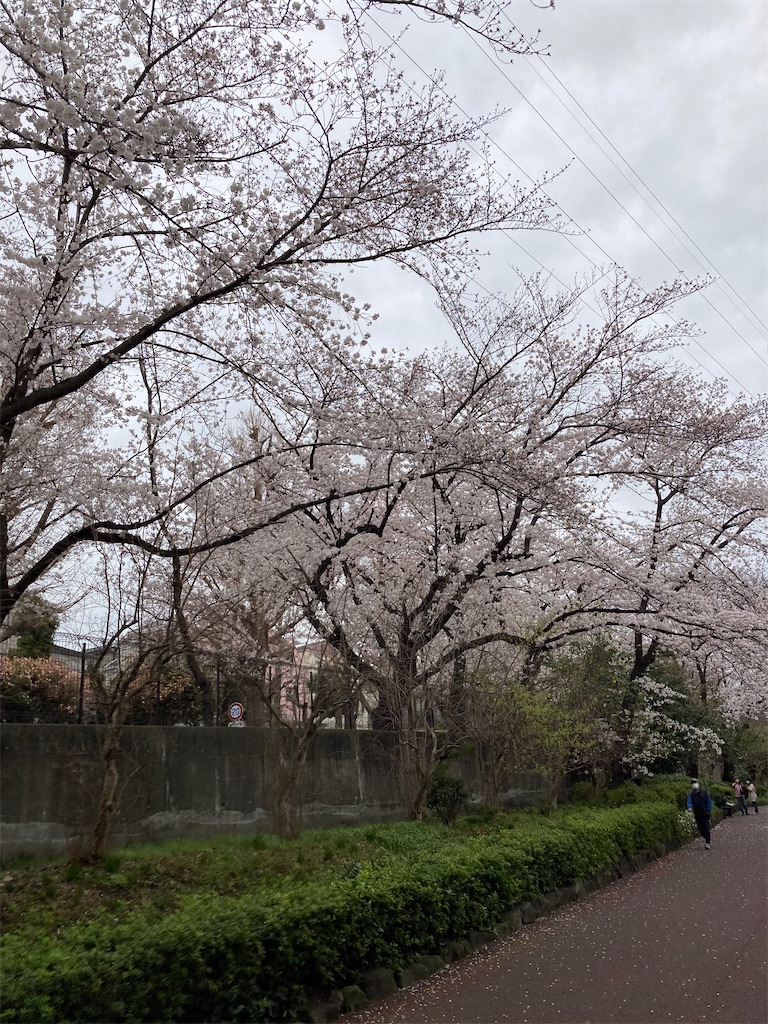 f:id:masaru-arameya:20210326071429j:image f:id:masaru-arameya:20210326071429j:image