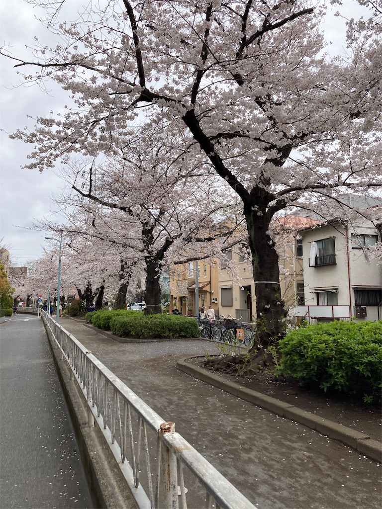 f:id:masaru-arameya:20210326071539j:image f:id:masaru-arameya:20210326071539j:image