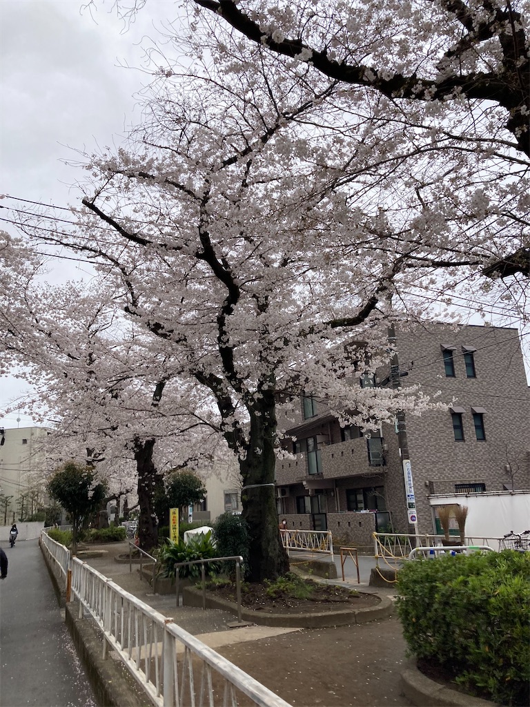 f:id:masaru-arameya:20210326071544j:image f:id:masaru-arameya:20210326071544j:image