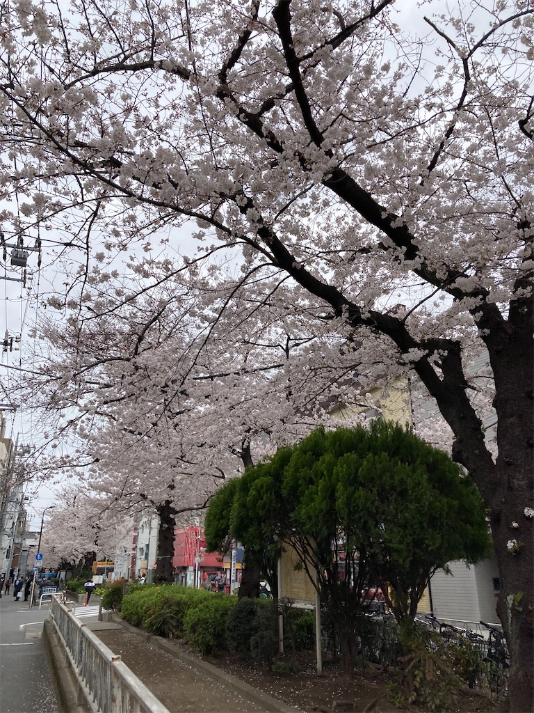 f:id:masaru-arameya:20210326071548j:image f:id:masaru-arameya:20210326071548j:image