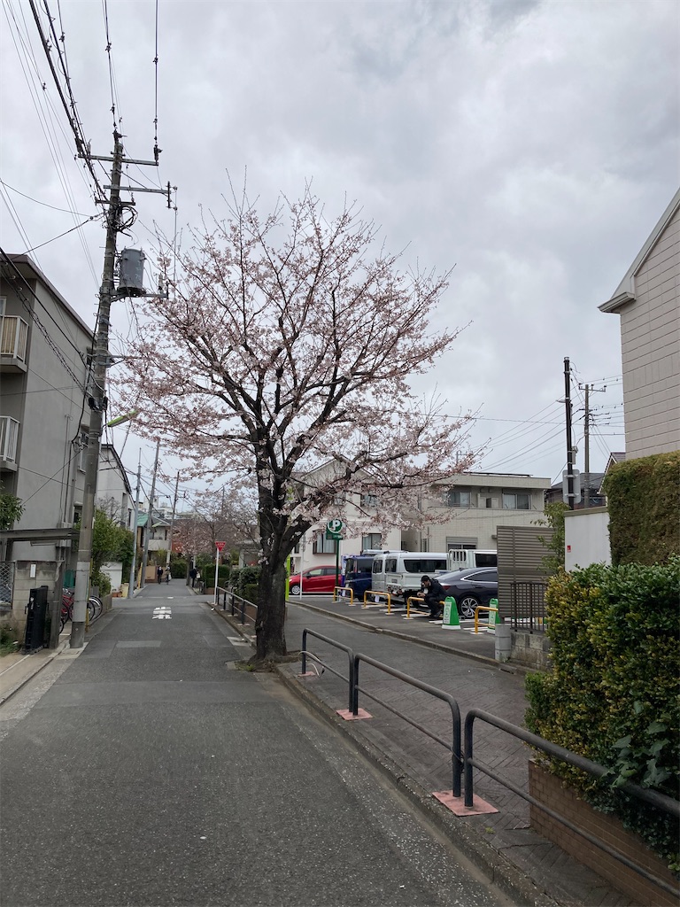 f:id:masaru-arameya:20210326071723j:image f:id:masaru-arameya:20210326071723j:image
