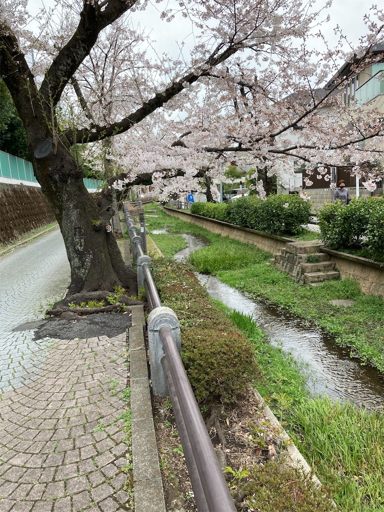 f:id:masaru-arameya:20210326071731j:image f:id:masaru-arameya:20210326071731j:image