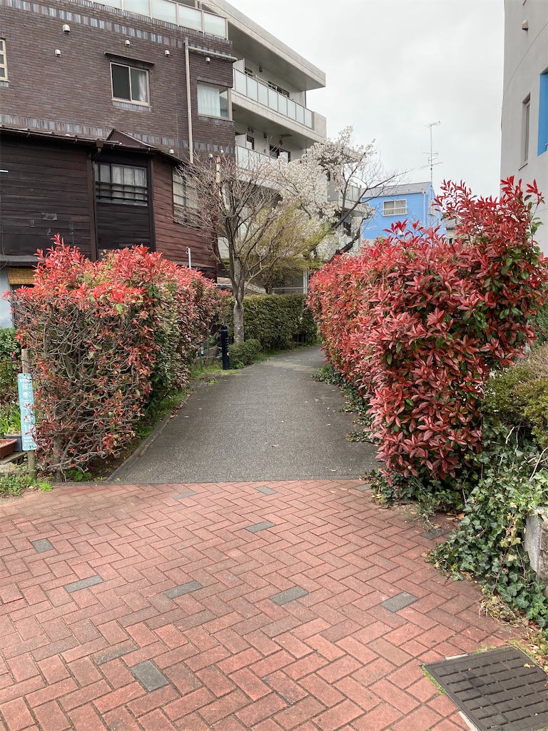 f:id:masaru-arameya:20210326071837j:image f:id:masaru-arameya:20210326071837j:image