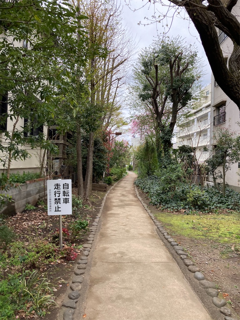 f:id:masaru-arameya:20210326071952j:image f:id:masaru-arameya:20210326071952j:image