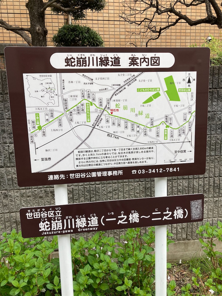 f:id:masaru-arameya:20210326072052j:image f:id:masaru-arameya:20210326072052j:image