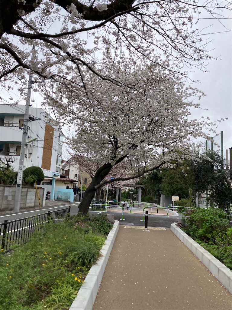 f:id:masaru-arameya:20210326072224j:image f:id:masaru-arameya:20210326072224j:image