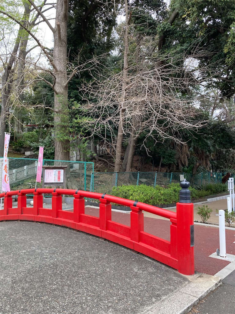 f:id:masaru-arameya:20210326072229j:image f:id:masaru-arameya:20210326072229j:image