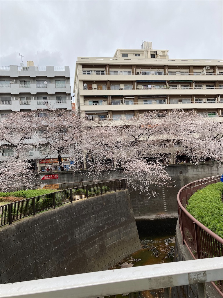 f:id:masaru-arameya:20210326072423j:image f:id:masaru-arameya:20210326072423j:image