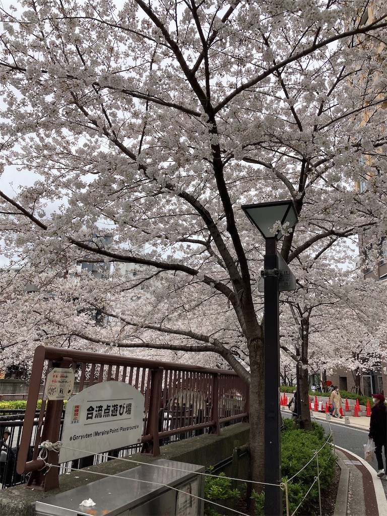 f:id:masaru-arameya:20210326072427j:image f:id:masaru-arameya:20210326072427j:image
