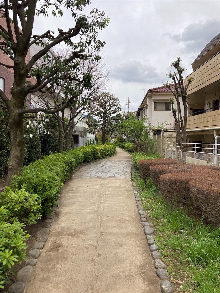 f:id:masaru-arameya:20210326091822j:image f:id:masaru-arameya:20210326091822j:image
