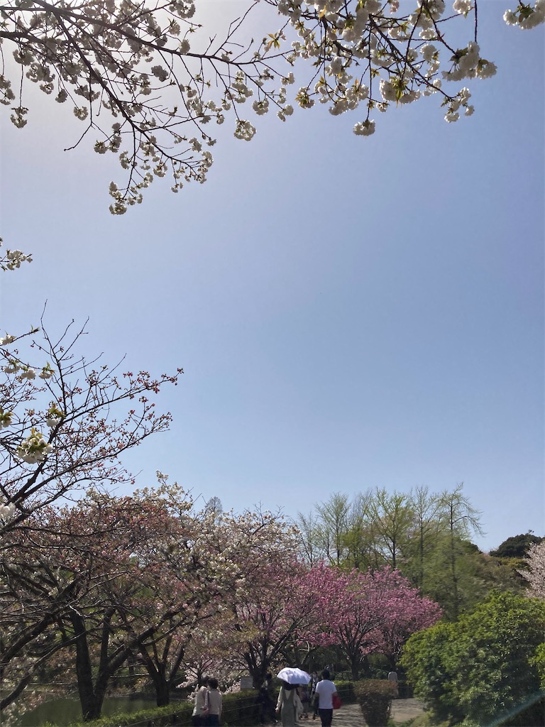 f:id:masaru-arameya:20210331130954j:image f:id:masaru-arameya:20210331130954j:image