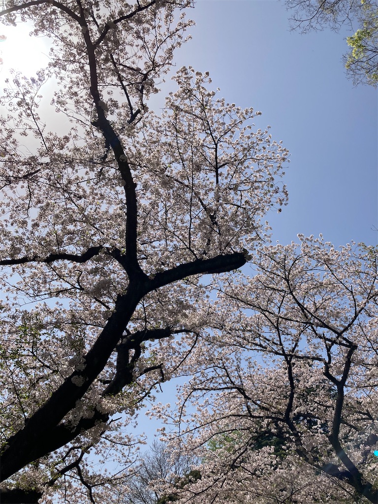 f:id:masaru-arameya:20210331130958j:image f:id:masaru-arameya:20210331130958j:image