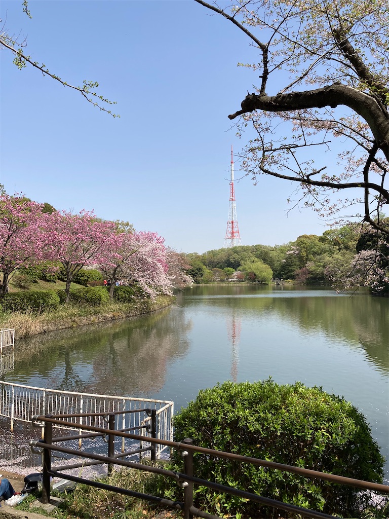 f:id:masaru-arameya:20210331131043j:image f:id:masaru-arameya:20210331131043j:image