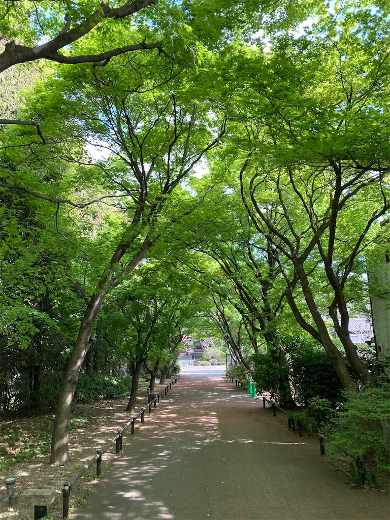 f:id:masaru-arameya:20210405085338j:image f:id:masaru-arameya:20210405085338j:image