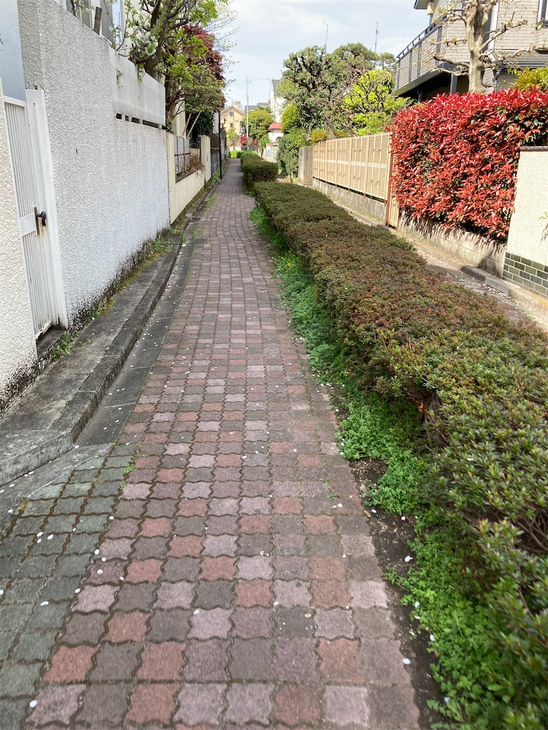 f:id:masaru-arameya:20210405085714j:image f:id:masaru-arameya:20210405085714j:image