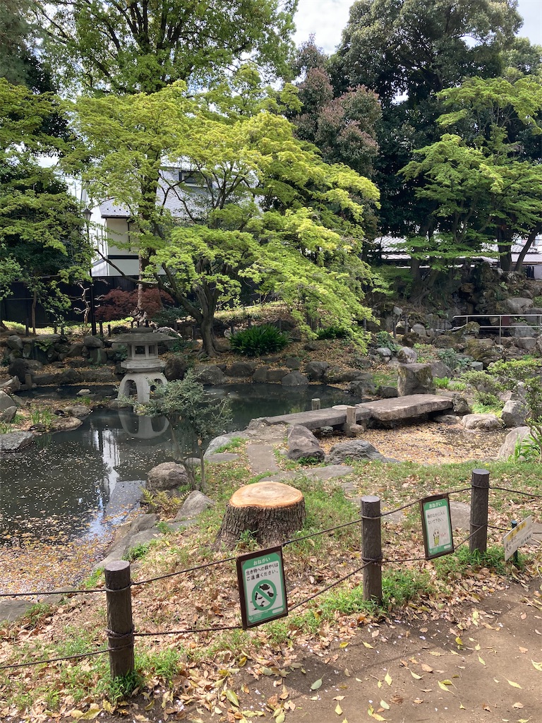f:id:masaru-arameya:20210405085759j:image f:id:masaru-arameya:20210405085759j:image