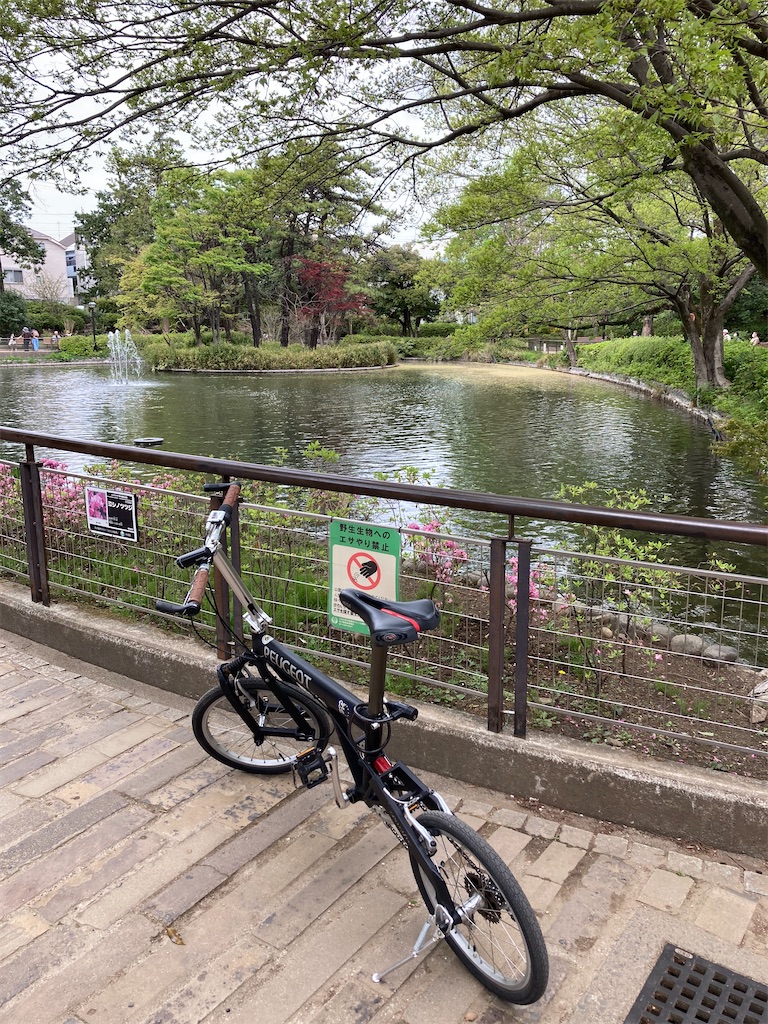 f:id:masaru-arameya:20210405085903j:image f:id:masaru-arameya:20210405085903j:image