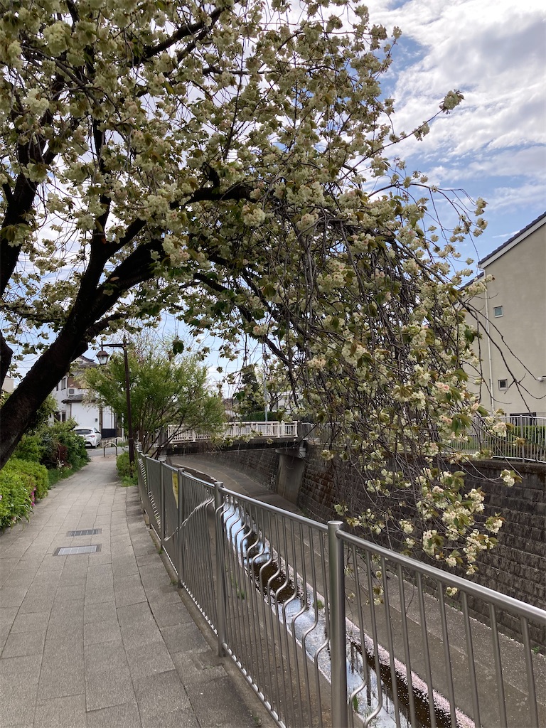 f:id:masaru-arameya:20210405090003j:image f:id:masaru-arameya:20210405090003j:image