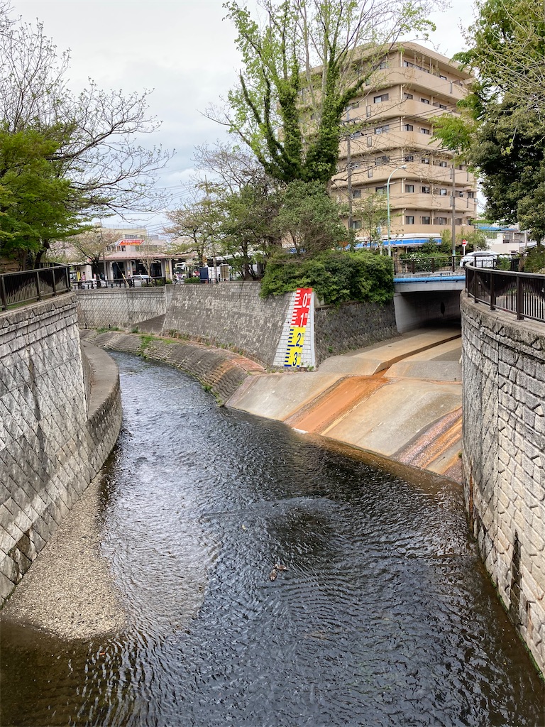 f:id:masaru-arameya:20210405090653j:image f:id:masaru-arameya:20210405090653j:image