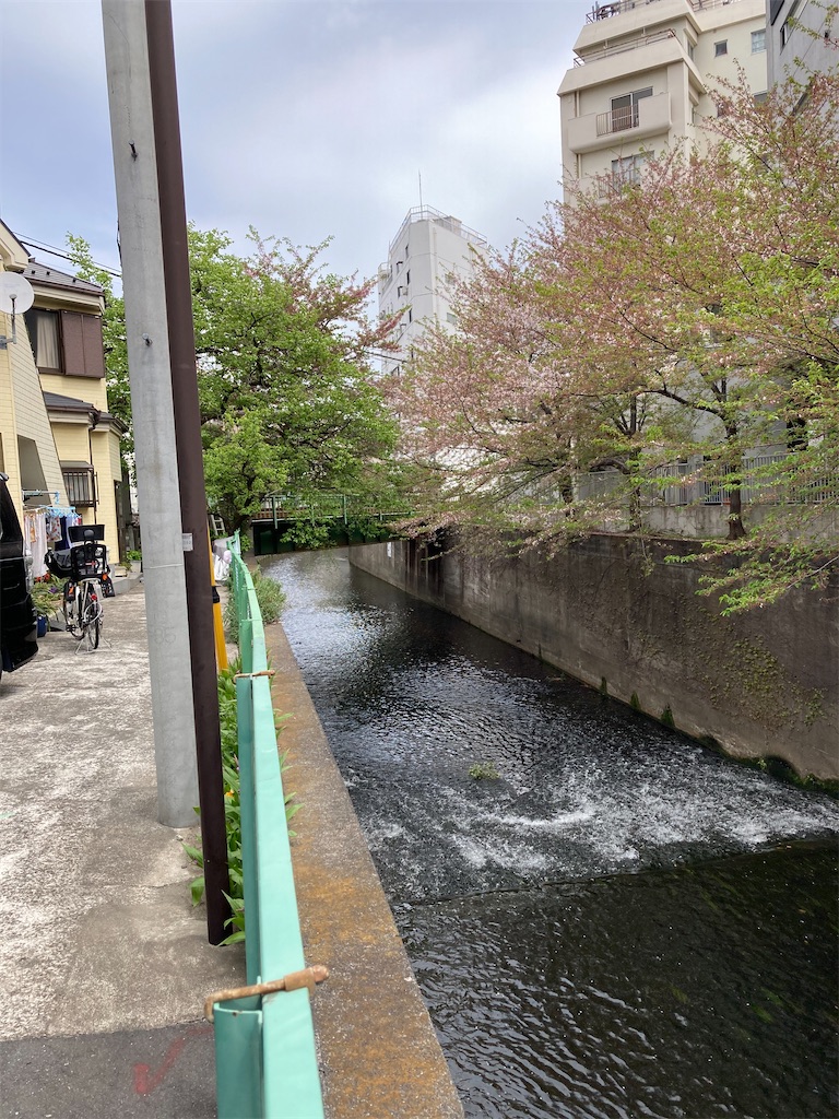 f:id:masaru-arameya:20210405090802j:image f:id:masaru-arameya:20210405090802j:image