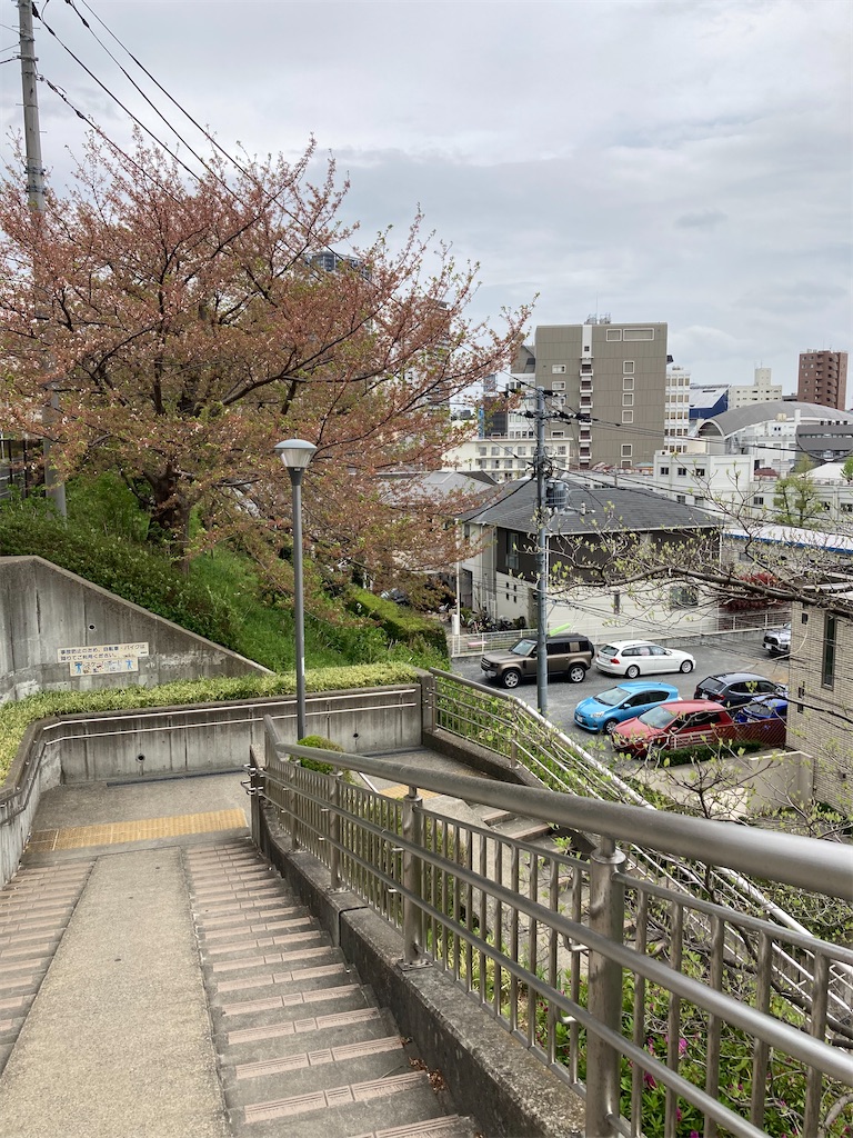 f:id:masaru-arameya:20210405091026j:image f:id:masaru-arameya:20210405091026j:image