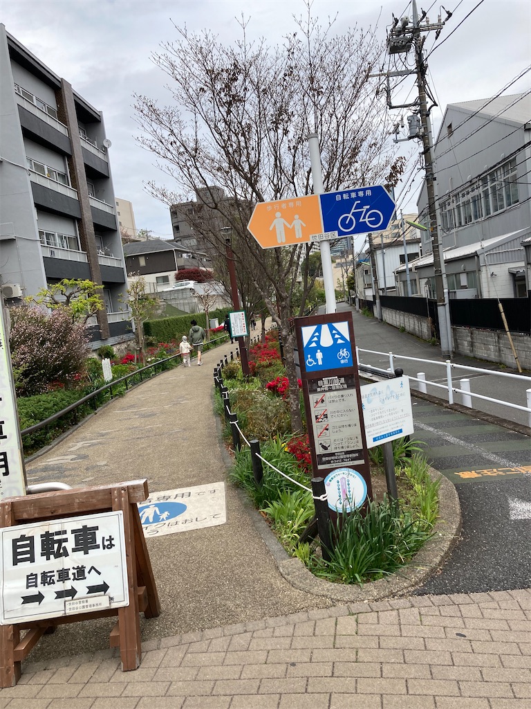 f:id:masaru-arameya:20210405091034j:image f:id:masaru-arameya:20210405091034j:image